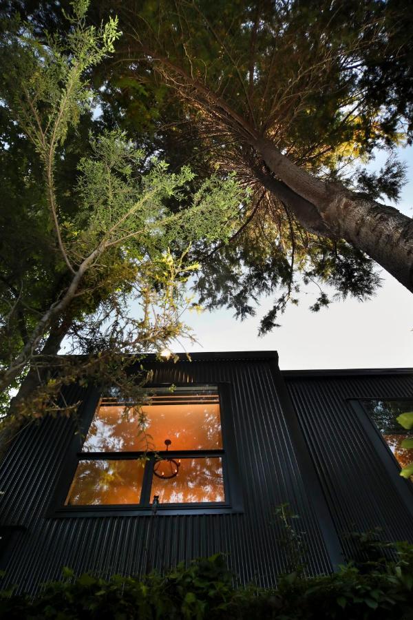 L'amour Nest Napier Extérieur photo